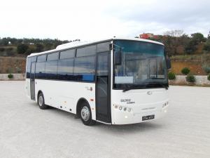 2011 Guleryuz Cobra GD-160 Solo